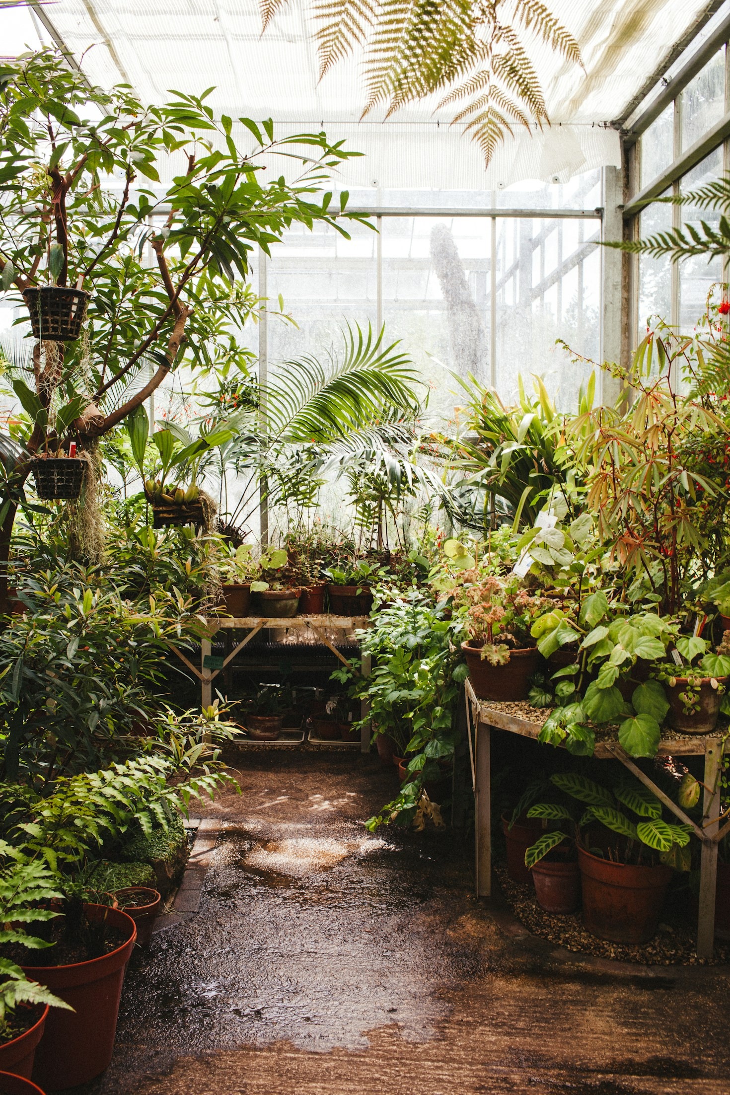 Como escolher o vaso ideal para flores